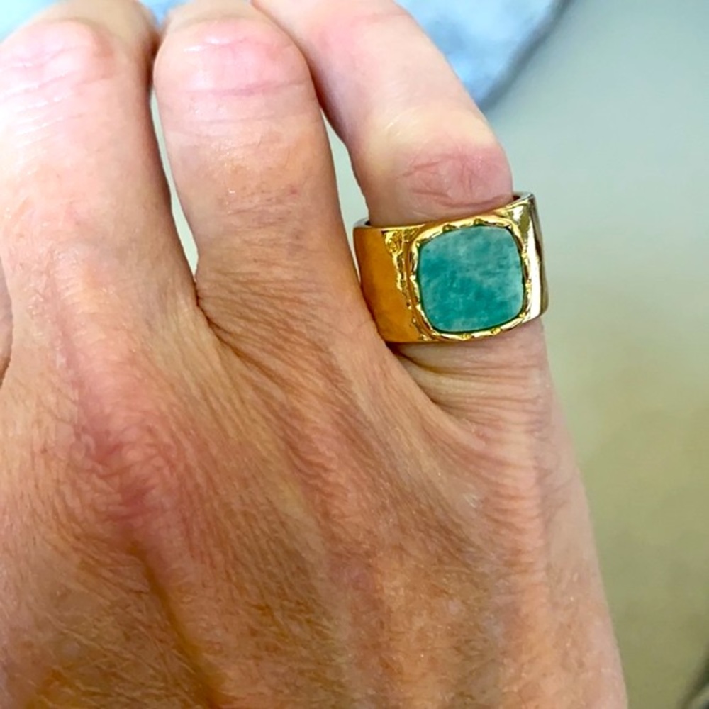 NWOT Vacation All I Ever Wanted Statement Ring